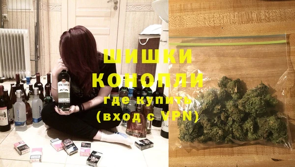 шишки Лагань