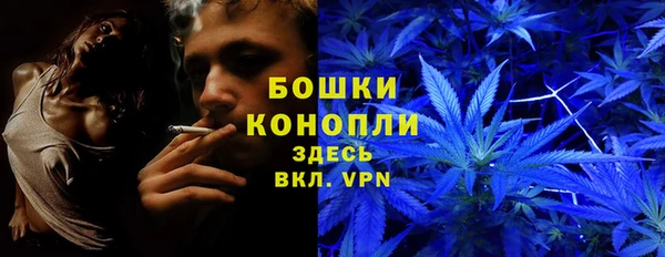 шишки Лагань