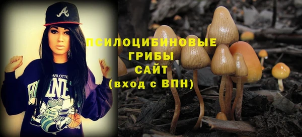 эйфоретик Переславль-Залесский