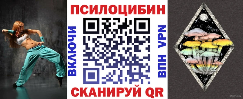 Псилоцибиновые грибы мицелий  купить наркоту  Людиново 